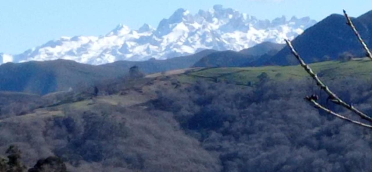 La Casina de Valles de San Román Esterno foto